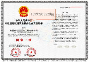 深圳教育咨询服务 如何为深圳家长找到最适合的学业规划路径